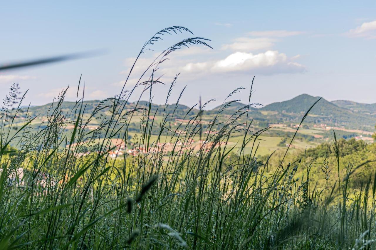 Apartmani Lunija Gornji Milanovac Exteriör bild