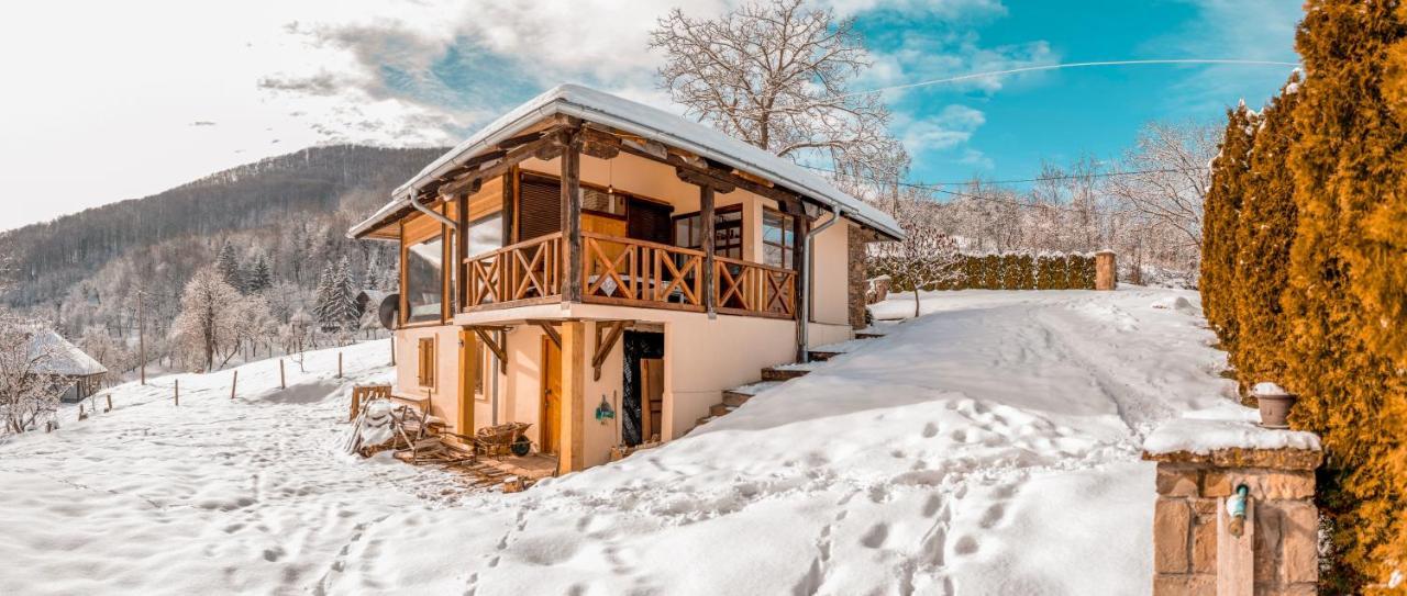 Apartmani Lunija Gornji Milanovac Exteriör bild
