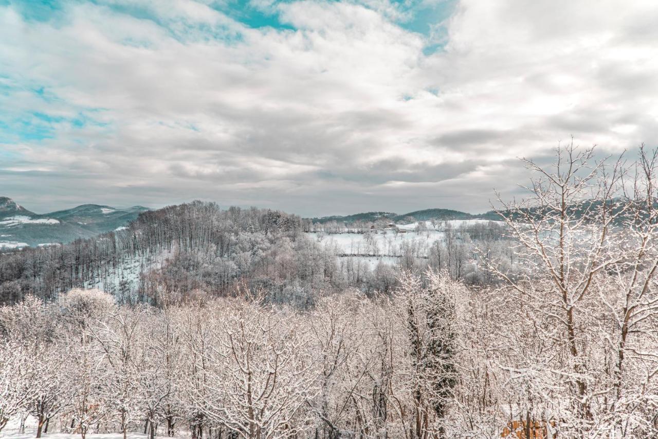 Apartmani Lunija Gornji Milanovac Exteriör bild