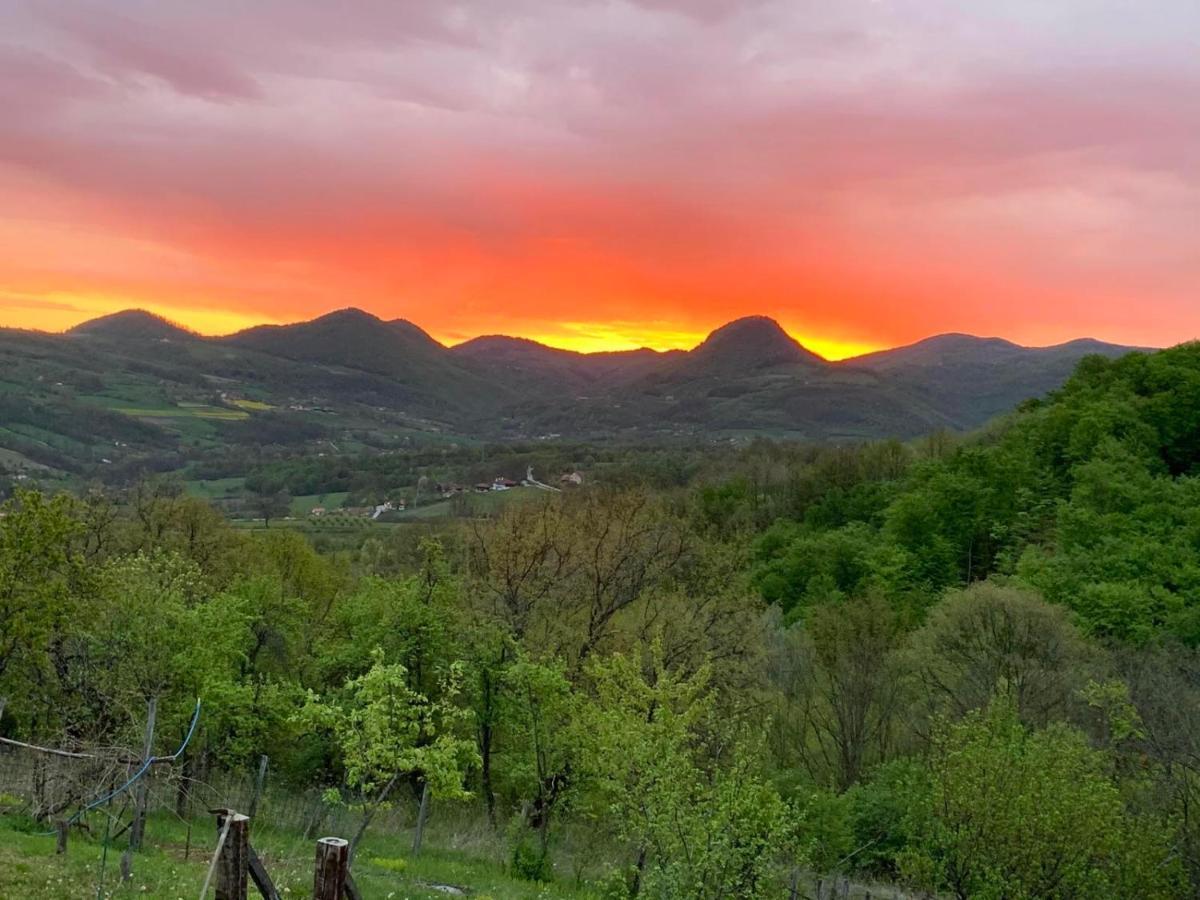 Apartmani Lunija Gornji Milanovac Exteriör bild
