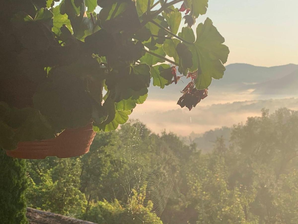 Apartmani Lunija Gornji Milanovac Exteriör bild